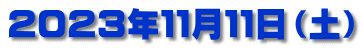 ２０２３年１１月１１日（土）